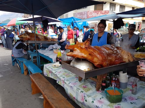 Otavalo Market Pigs